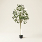 Artificial Olive Tree on a warm cream background