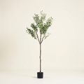1Pc 5.9FT Artificial Olive Tree Tall Fake Olive Plant Faux Potted Oliv on a warm cream background