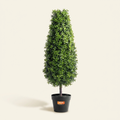 Artificial Boxwood Topiary Tree on a warm cream background