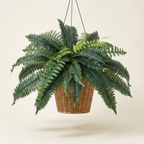 Artificial Fern Plant, Faux Potted Greenery Bush, Green, Set of 2, for Shelf Decor