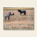 Farmhouse Horse Framed Wall Art, Country Western Wood Painting, Denim Brown, for Living Room