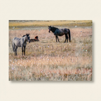 Farmhouse Horse Framed Wall Art, Country Western Wood Painting, Denim Brown, for Living Room