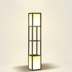 Modern Shelf Floor Lamp, Dual Ambient Light, Built-In Storage, Black Finish