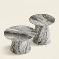 Nested Round Coffee Table Set, Grey Veneer on a warm cream background