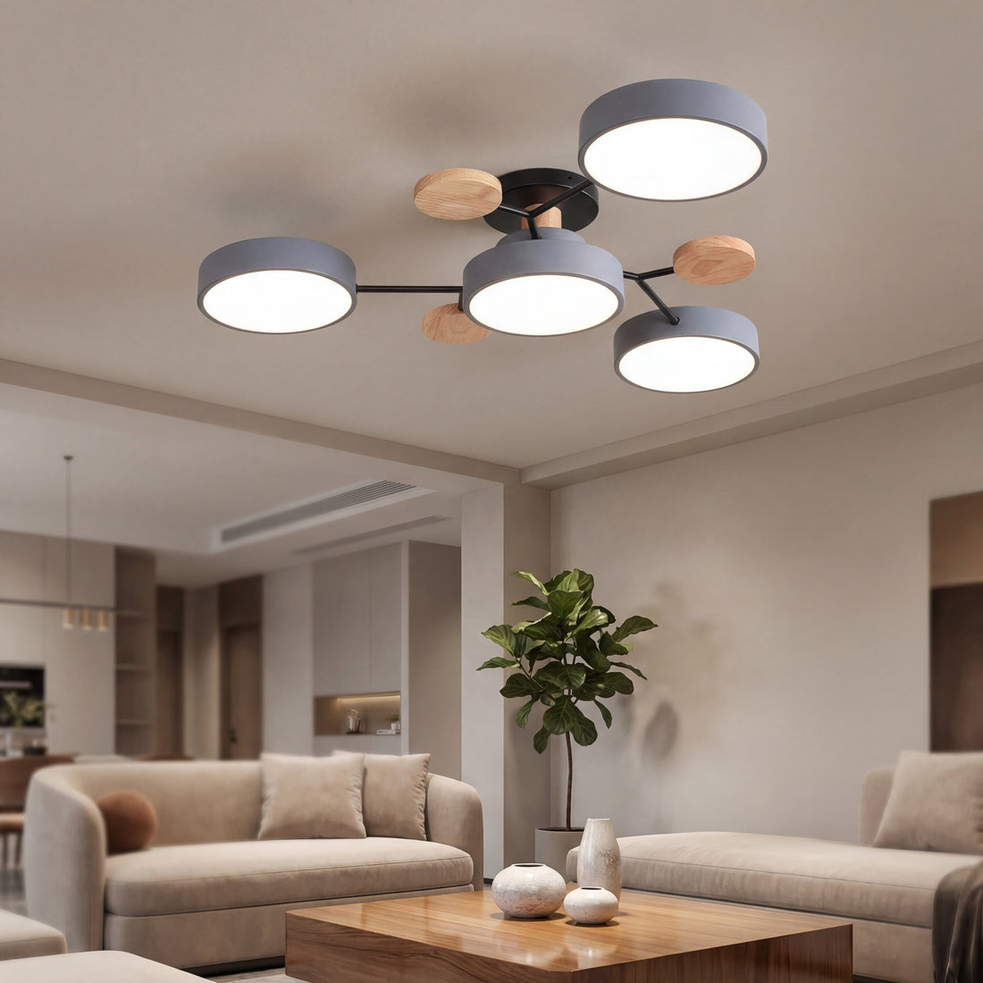 Living Room LED Ceiling Lamp | Modern Design