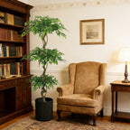 Faux ficus tree with three leaf tiers beside a leather wingback chair in a book-lined study