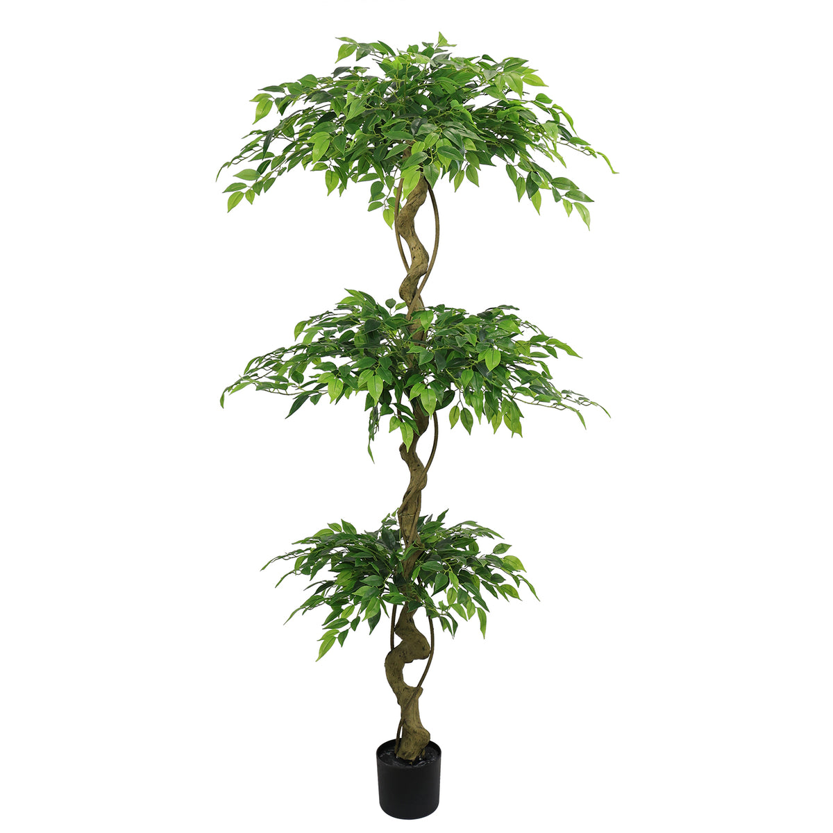 Twisted trunk faux ficus tree with three leaf tiers in a black planter on a plain white background